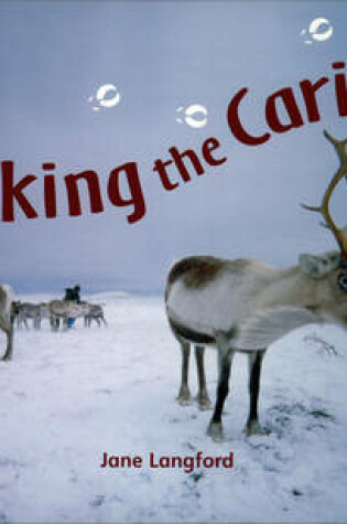 Cover of Lighthouse White: Tracking The Caribou (6 pack)