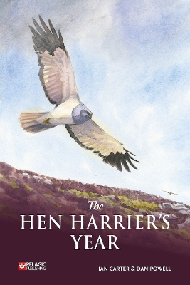 Book cover for The Hen Harrier's Year