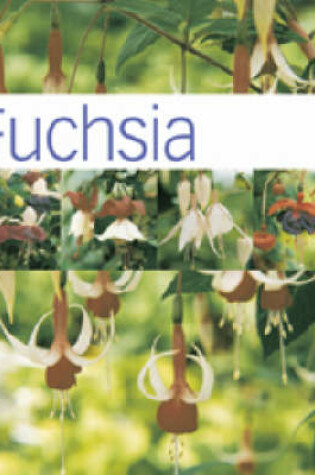 Cover of Fuchsia