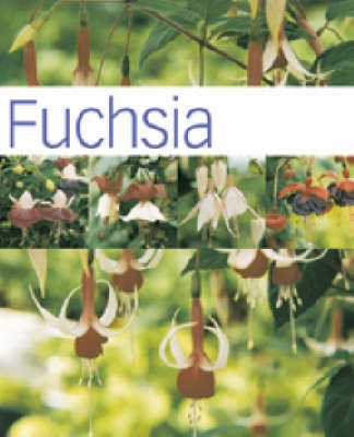 Book cover for Fuchsia