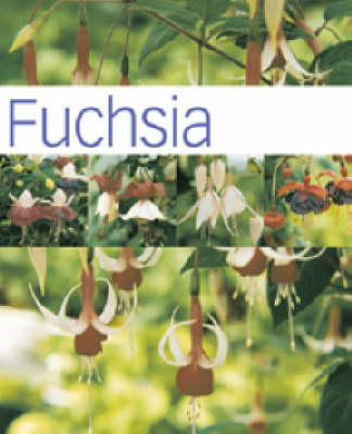 Cover of Fuchsia