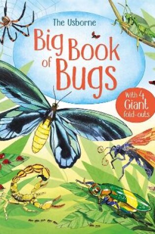 Cover of Big Book of Bugs