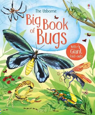 Book cover for Big Book of Bugs