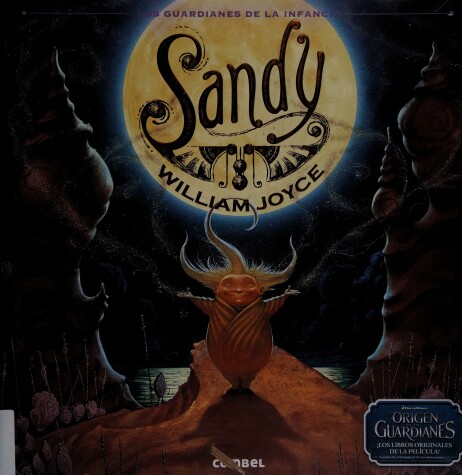 Book cover for Sandy