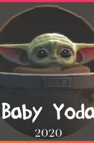 Cover of Baby Yoda 2020