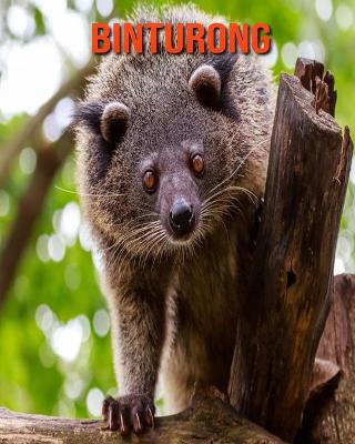 Book cover for Binturong