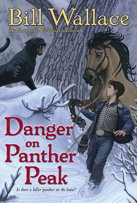 Book cover for Danger on Panther Peak