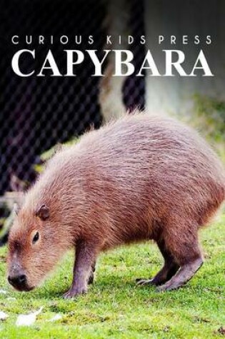 Cover of Capybara - Curious Kids Press