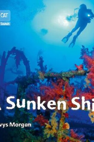 Cover of A Sunken Ship