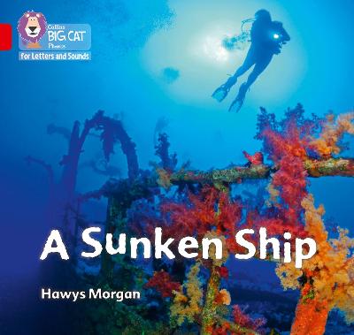 Book cover for A Sunken Ship