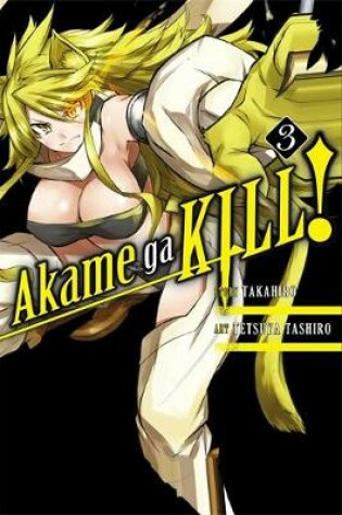 Cover of Akame ga KILL!, Vol. 3