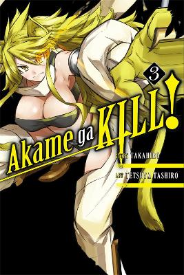 Book cover for Akame Ga Kill!, Vol. 3