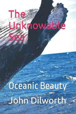 Book cover for The Unknowable Sea