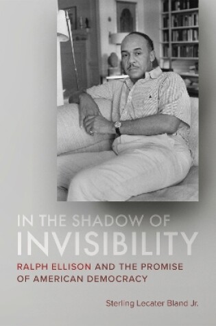 Cover of In the Shadow of Invisibility