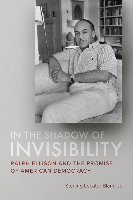 Book cover for In the Shadow of Invisibility