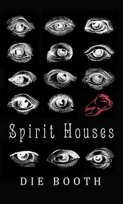 Book cover for Spirit Houses