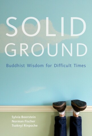 Book cover for Solid Ground