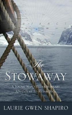 Book cover for The Stowaway