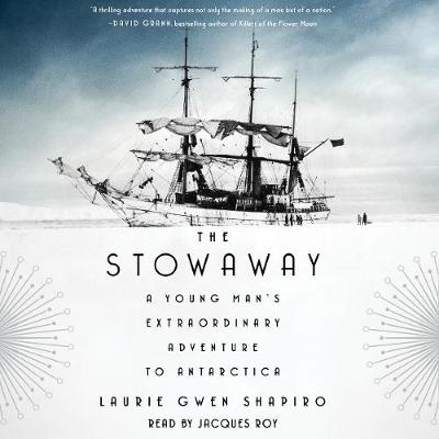 Book cover for The Stowaway