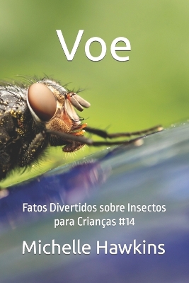 Book cover for Voe