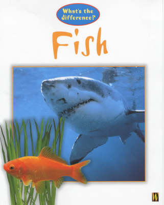 Book cover for Fish