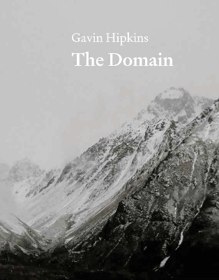 Book cover for The Domain