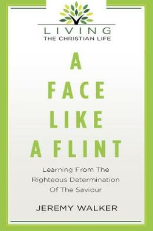 Cover of A Face Like A Flint