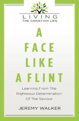 Book cover for A Face Like A Flint