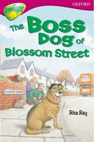 Cover of Oxford Reading Tree: Level 10: Treetops Stories: Boss Dog of Blossom Street
