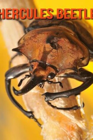 Cover of Hercules Beetle