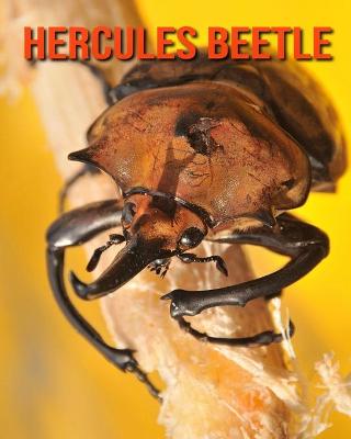 Book cover for Hercules Beetle