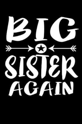 Cover of Big Sister Again