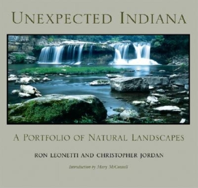 Book cover for Unexpected Indiana