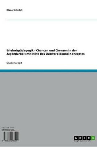 Cover of Erlebnispadagogik - Chancen Und Grenzen in Der Jugendarbeit Mit Hilfe Des Outward-Bound-Konzeptes