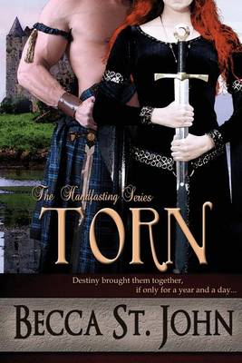 Book cover for Torn