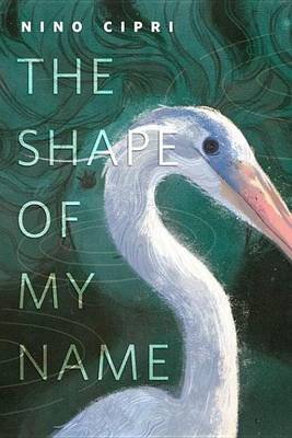 Book cover for The Shape of My Name