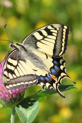 Book cover for Swallowtail Butterfly Journal