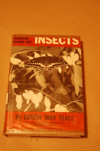 Book cover for The Junior Book of Insects