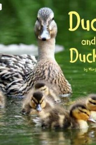 Cover of Ducks and Their Ducklings: a 4D Book (Animal Offspring)
