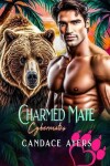 Book cover for Charmed Mate