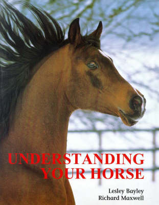 Book cover for Understanding Your Horse