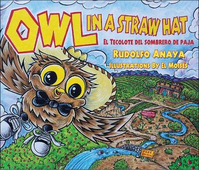 Book cover for Owl in a Straw Hat
