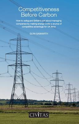 Book cover for Competitiveness Before Carbon