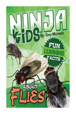 Book cover for Fun Learning Facts about Flies