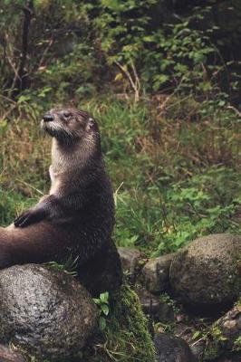 Book cover for Cute Otter on a Boulder