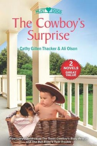 Cover of The Cowboy's Surprise