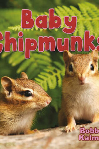 Cover of Baby Chipmunks