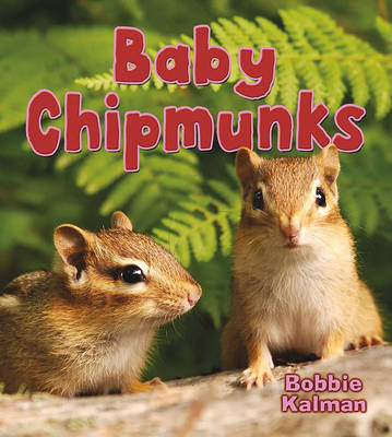 Book cover for Baby Chipmunks