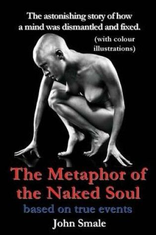 Cover of The Metaphor of the Naked Soul. the Astonishing Illustrated Story of How a Mind Was Dismantled and Repaired