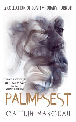 Book cover for Palimpsest